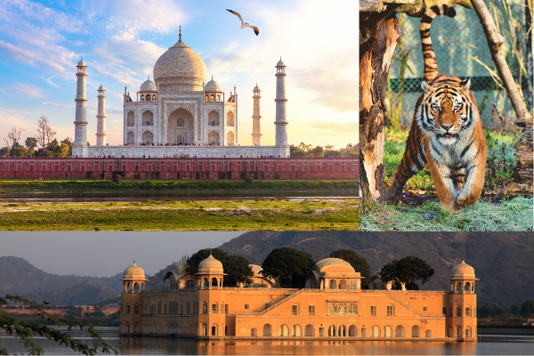 golden-triangle-tour-with-ranthambore